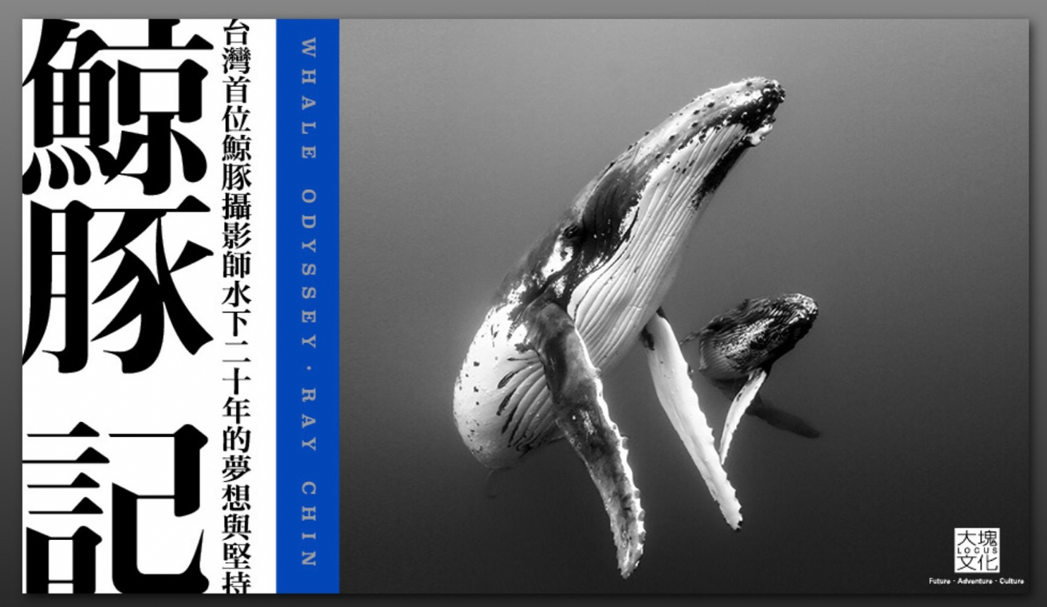 【講座】我的追逐人生《鯨豚記》分享會 【講座】我的追逐人生《鯨豚記》分享會