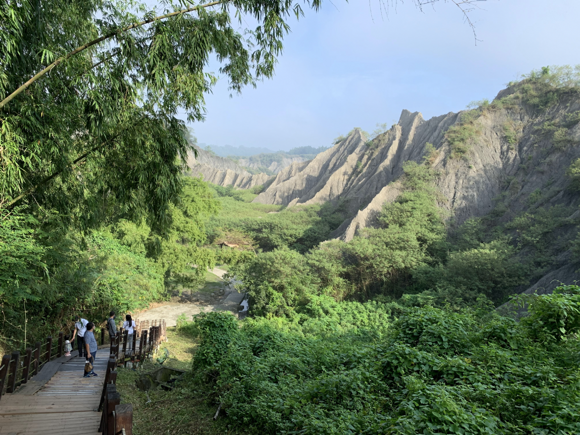【後疫文學2.0-走讀】 作家帶你去旅行,惡地竹林生態趣 【後疫文學2.0-走讀】 作家帶你去旅行,惡地竹林生態趣