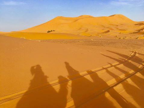 【講座】摩洛哥古城沙漠聖羅蘭：跟著達人黃作炎的電影旅行